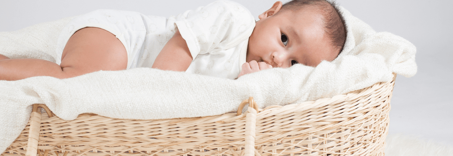 Luxury Organic 100% Cotton Bedding - Baby Crib & Co-Sleeper